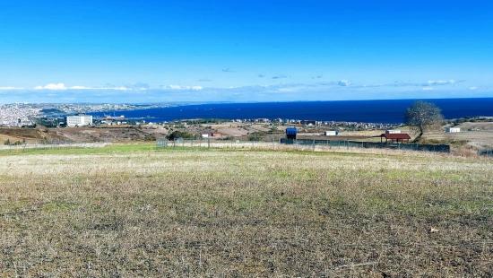 32 Luxusvillen Mit Herrlichem Meer-, Natur- Und Stadtblick, Für Das Projekt Geeignetes Grundstück