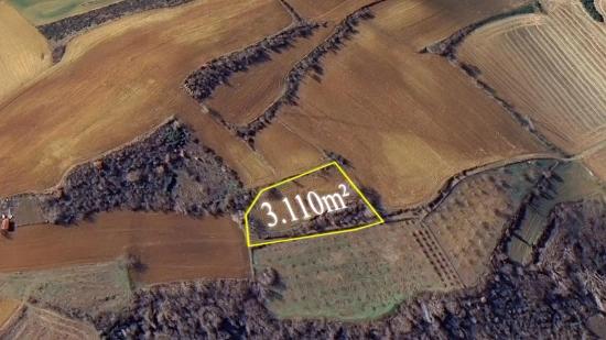 Investitionsmöglichkeit: Garantierter Hoher Gewinn Kurzfristig Für Diejenigen, Die Kaufen Und Verkaufen Möchten.