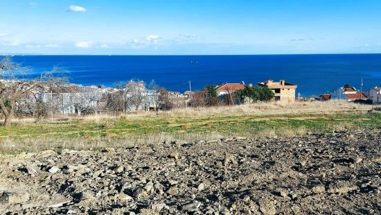 Sie Können Entweder Ein Projekt Für 9 Luxuswohnungen Oder 2 Ultra-Luxusvillen Erstellen.