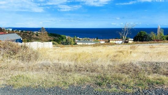 Triplex-Grundstücke Bieten Eine Großartige Gelegenheit Für Alle, Die Mit Geringem Kapital Ein Freistehendes Haus Bauen Möchten.