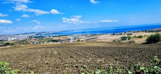 Grundstücksmöglichkeit, Geeignet Für 4 Luxusvillen Mit Uneingeschränktem Meerblick