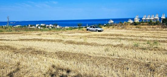 8.500 M² Großes Wohnbaugrundstück Mit Hohem Gewinnpotenzial, In Der Nähe Des Hafens Von Asyaport