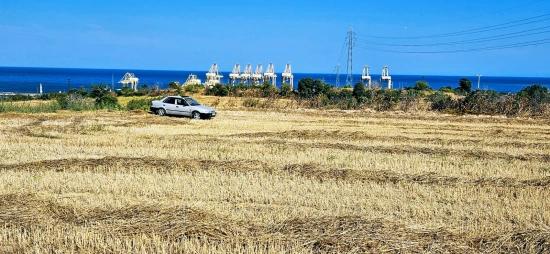 8.500 M² Großes Wohnbaugrundstück Mit Hohem Gewinnpotenzial, In Der Nähe Des Hafens Von Asyaport