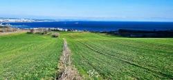 Grundstück Mit Freiem Meer- Und Naturblick, Geeignet Für Ein Villenprojekt Mit 75 Villen In Tekirdağ Barbarosta