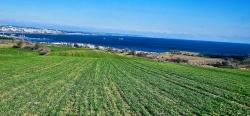 Grundstück Mit Freiem Meer- Und Naturblick, Geeignet Für Ein Villenprojekt Mit 75 Villen In Tekirdağ Barbarosta