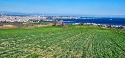 Grundstück Mit Freiem Meer- Und Naturblick, Geeignet Für Ein Villenprojekt Mit 75 Villen In Tekirdağ Barbarosta