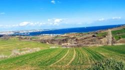 Grundstück Geeignet Für 8 Villenprojekte Mit Vollem Meer- Und Naturblick In Tekirdağ Barbarosta