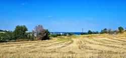 Land Zu Verkaufen in Barbaros Bz. Süleymanpaşa Kumbağ - Gehäuse-Zonierung - 615 m²