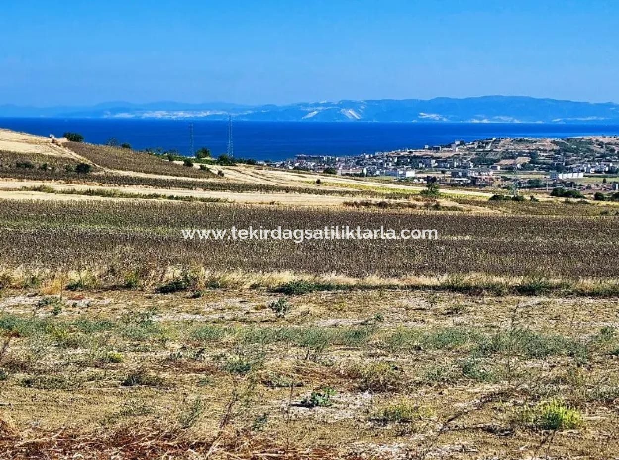 Der Hafen Von Asyaport Liegt Im Rahmen Des Aktuellen Flächennutzungsplans (