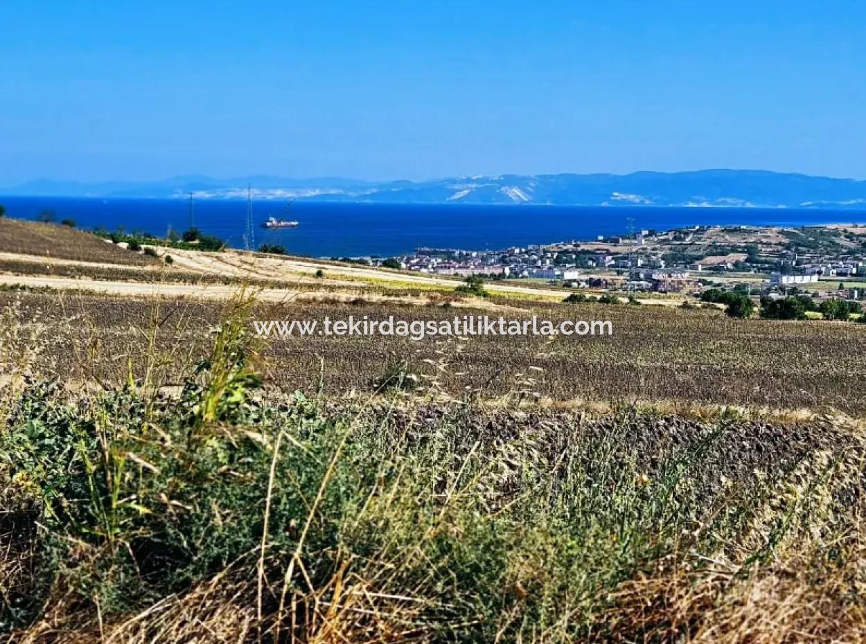 Der Hafen Von Asyaport Liegt Im Rahmen Des Aktuellen Flächennutzungsplans (