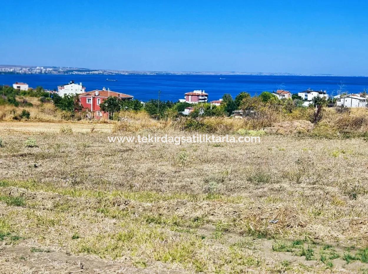 Coupon Grundstück Geeignet Für Den Bau Eines Einfamilienhauses Mit Vollem Meerblick Zum Dringenden Verkauf In Tekirdag Barbarosta