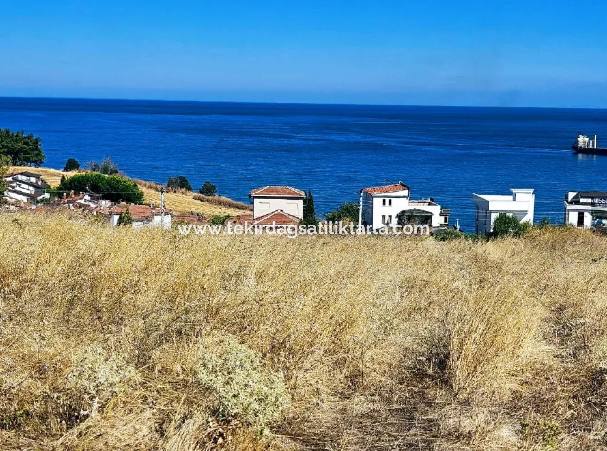 Coupon Grundstück Geeignet Für Den Bau Eines Einfamilienhauses Mit Vollem Meerblick Zum Dringenden Verkauf In Tekirdag Barbarosta