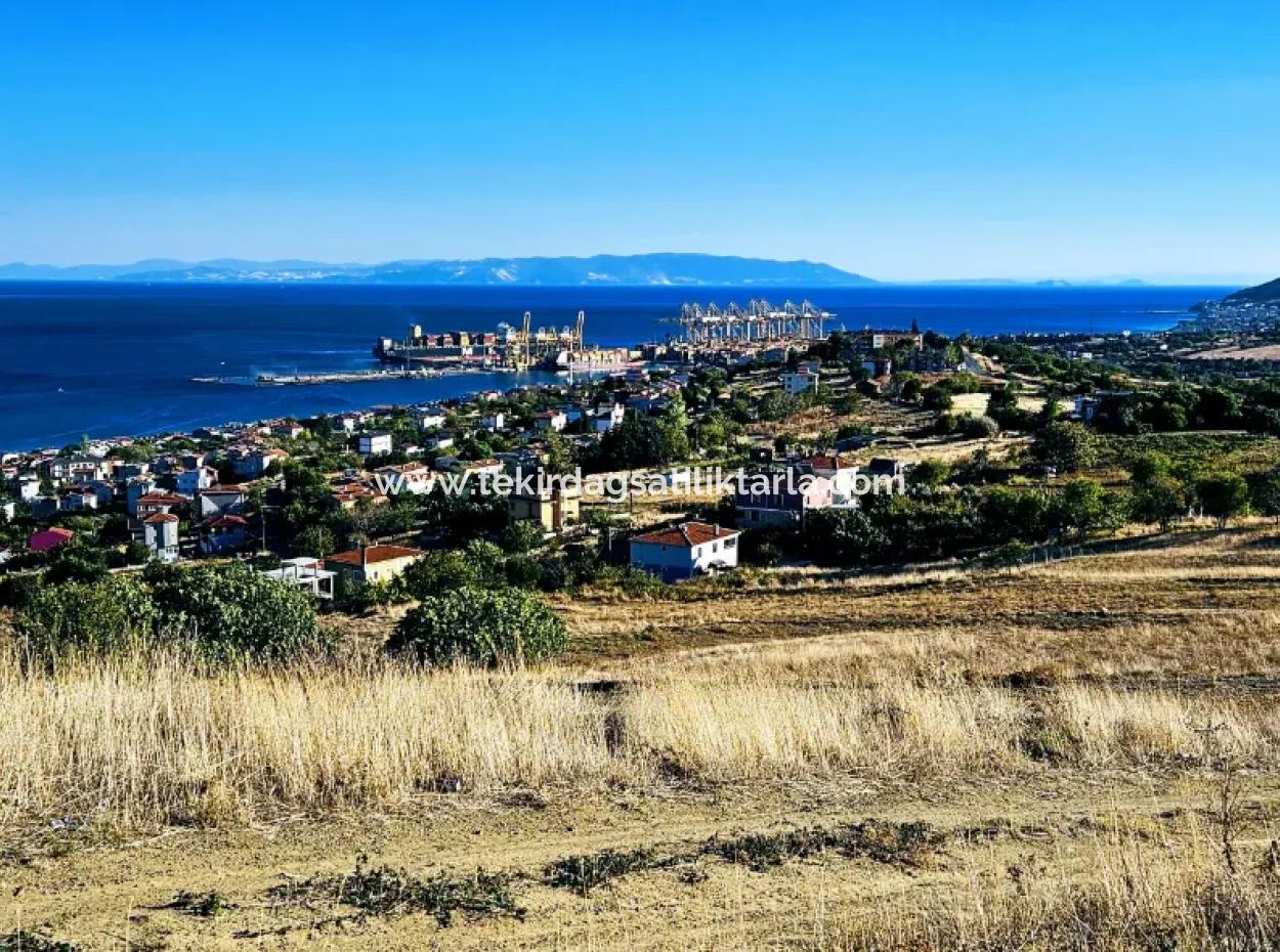 532 M2 Eckgrundstück Zum Verkauf In Tekirdag Süleymanpaşa Barbaros Nachbarschaft Mit Herrlichem Meer- Und Naturblick