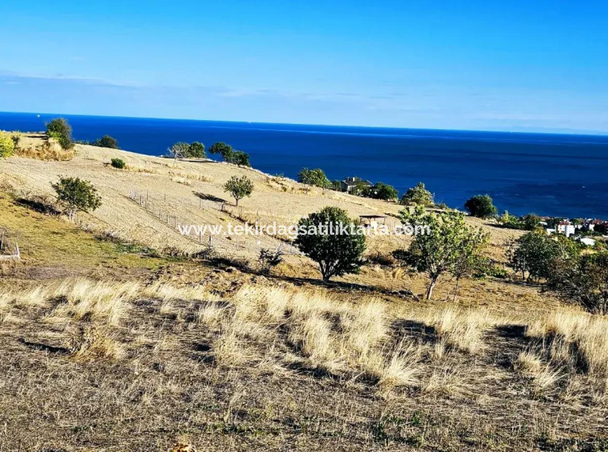 532 M2 Eckgrundstück Zum Verkauf In Tekirdag Süleymanpaşa Barbaros Nachbarschaft Mit Herrlichem Meer- Und Naturblick
