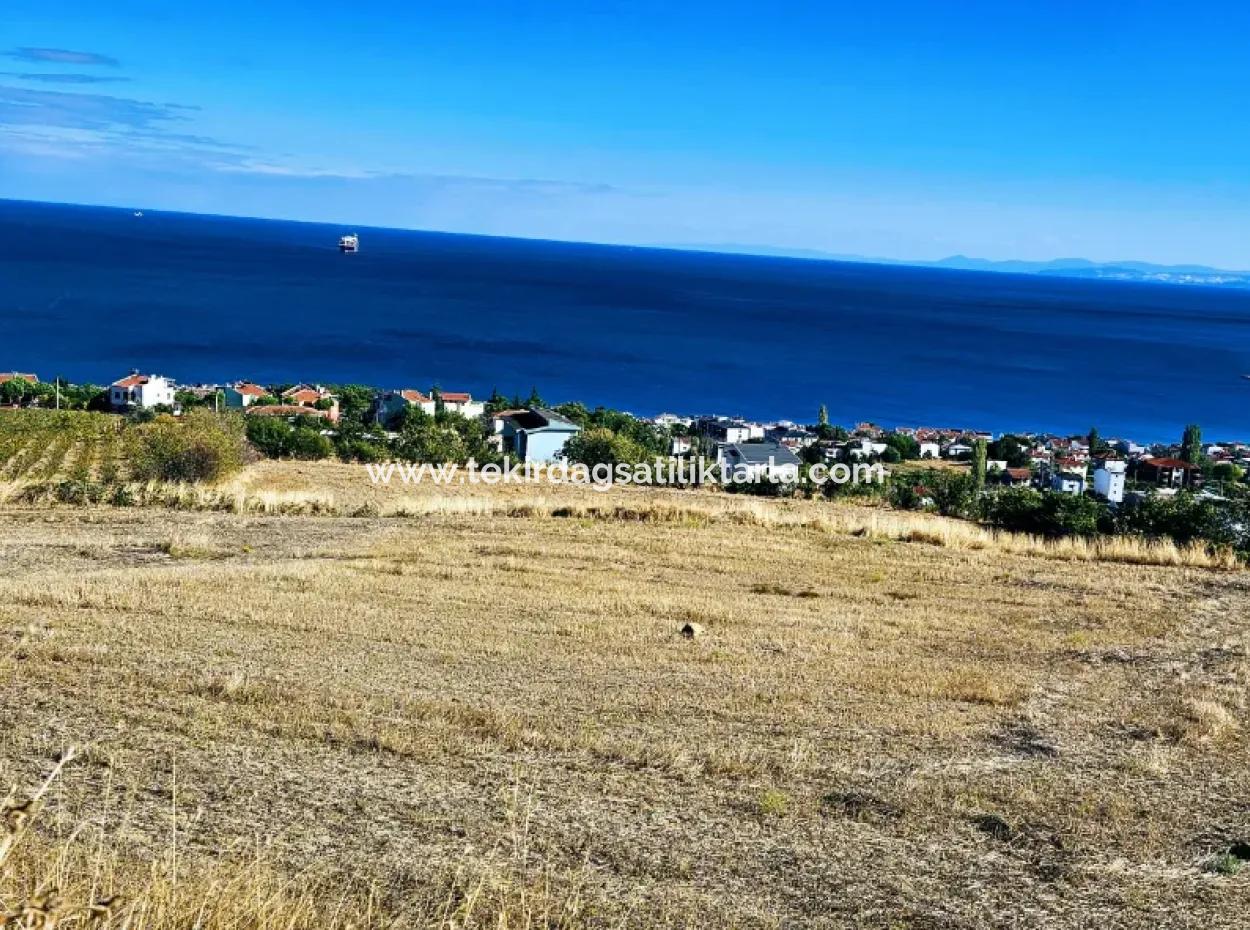 25 Wohnungen Mit Vollem Meerblick Gutscheinplatz Zum Dringenden Verkauf In Tekirdag Barbarosta
