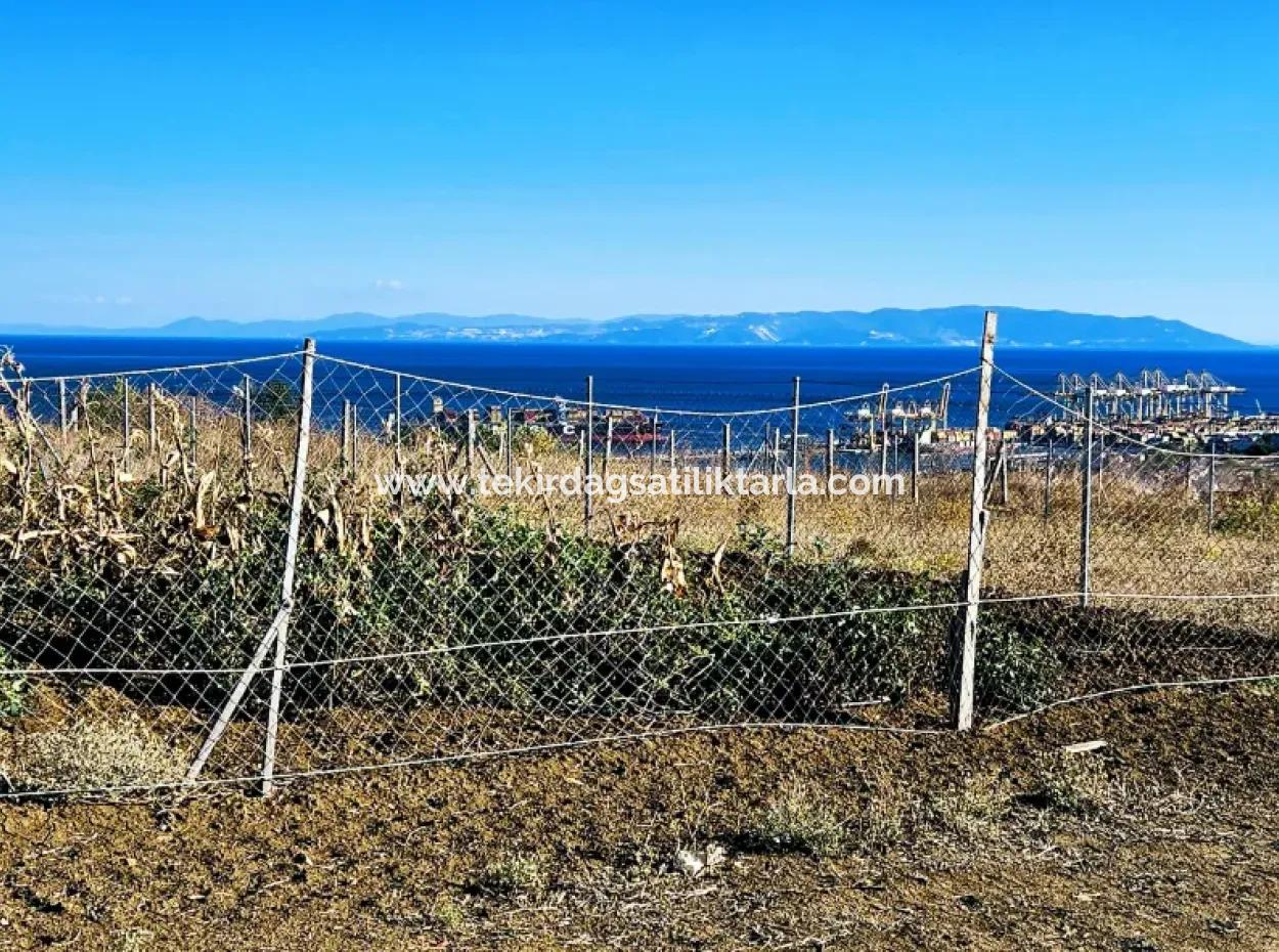 765 M2 Schnäppchengrundstück Mit Vollem Meerblick Zum Dringenden Verkauf In Tekirdag Barbarosta