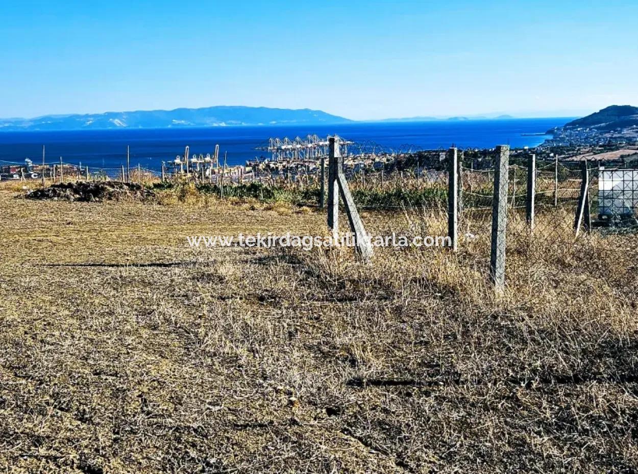 765 M2 Schnäppchengrundstück Mit Vollem Meerblick Zum Dringenden Verkauf In Tekirdag Barbarosta