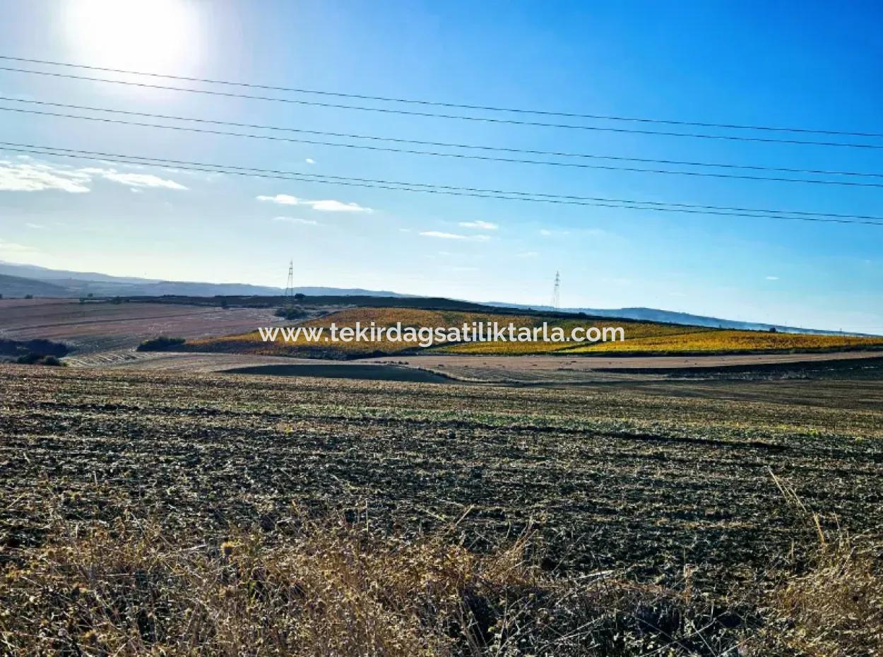 Der Hafen Von Asyaport Liegt Im Rahmen Des Aktuellen Flächennutzungsplans (