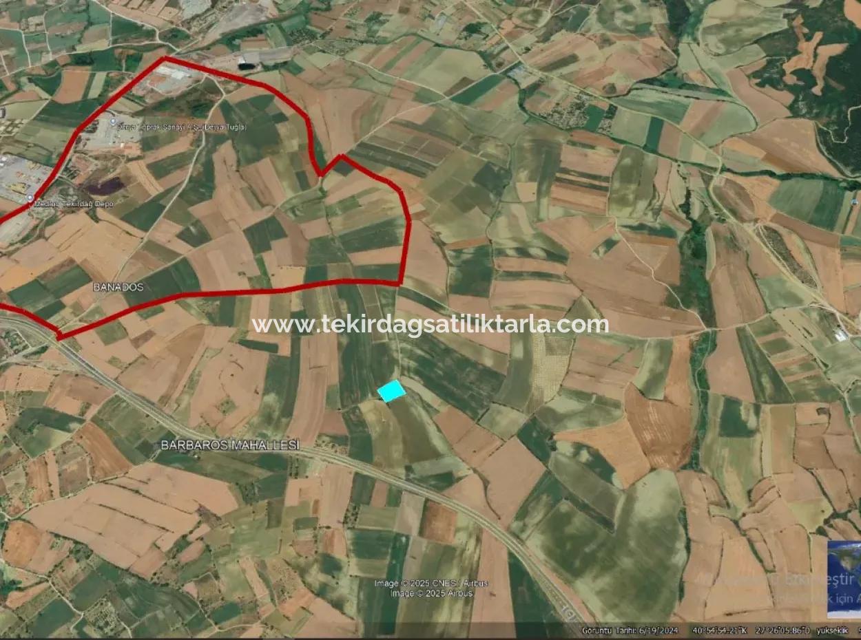 Der Hafen Von Asyaport Liegt Im Rahmen Des Aktuellen Flächennutzungsplans (