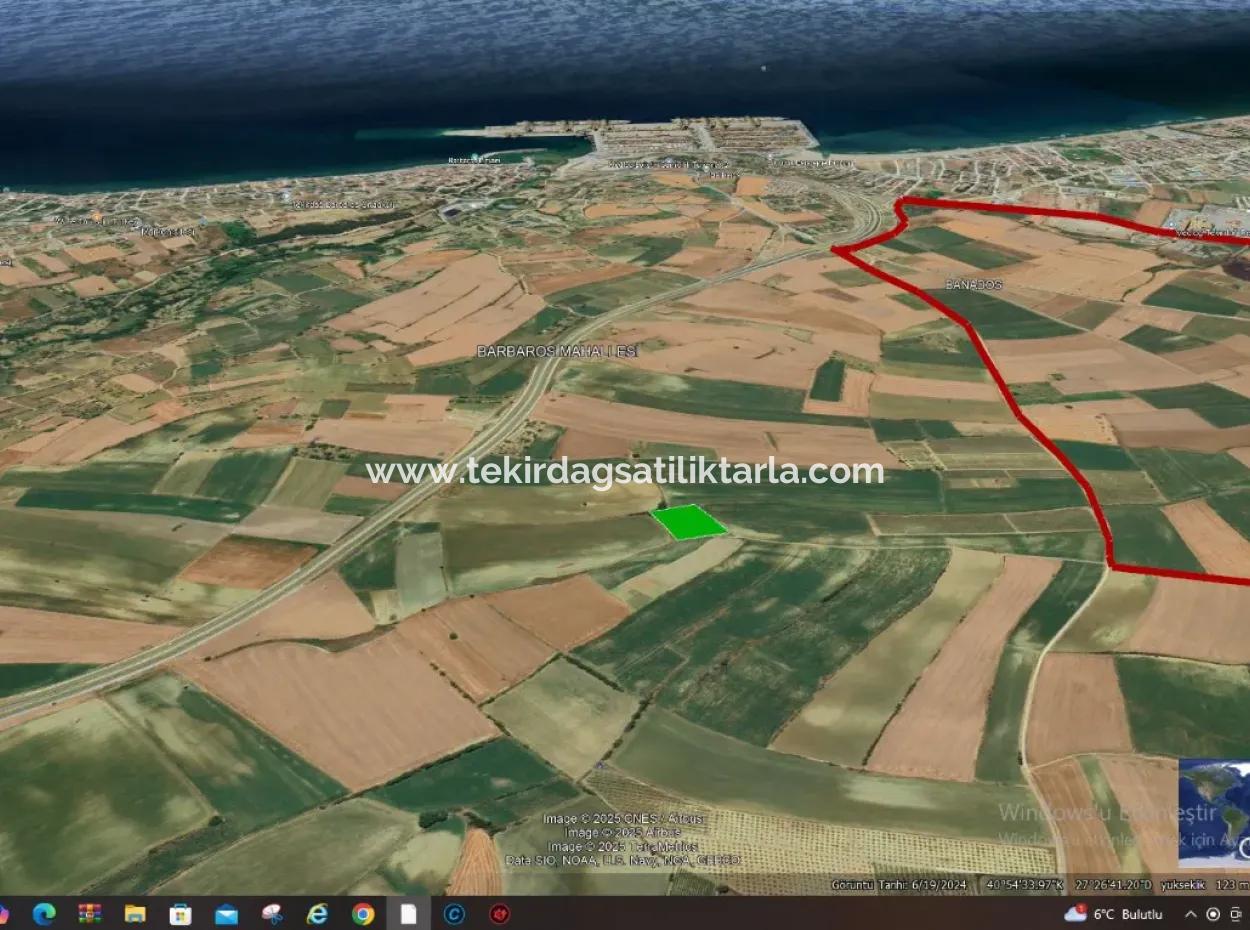 Der Hafen Von Asyaport Liegt Im Rahmen Des Aktuellen Flächennutzungsplans (