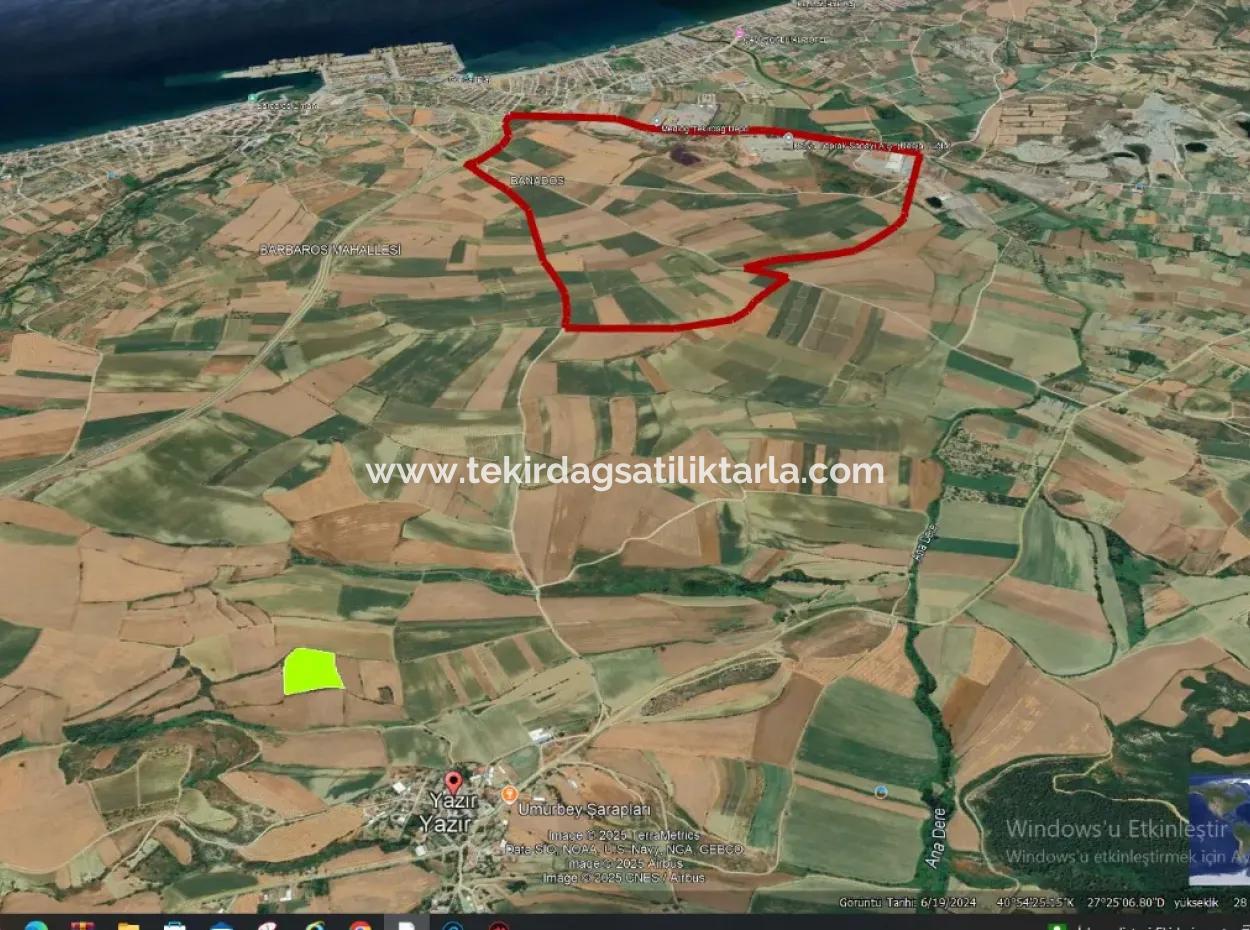 Der Hafen Von Azyaport Liegt In Der Nähe Des Bestehenden Zoning 16.100 Emergency Sale Investment Bargain Coupon-Feldes