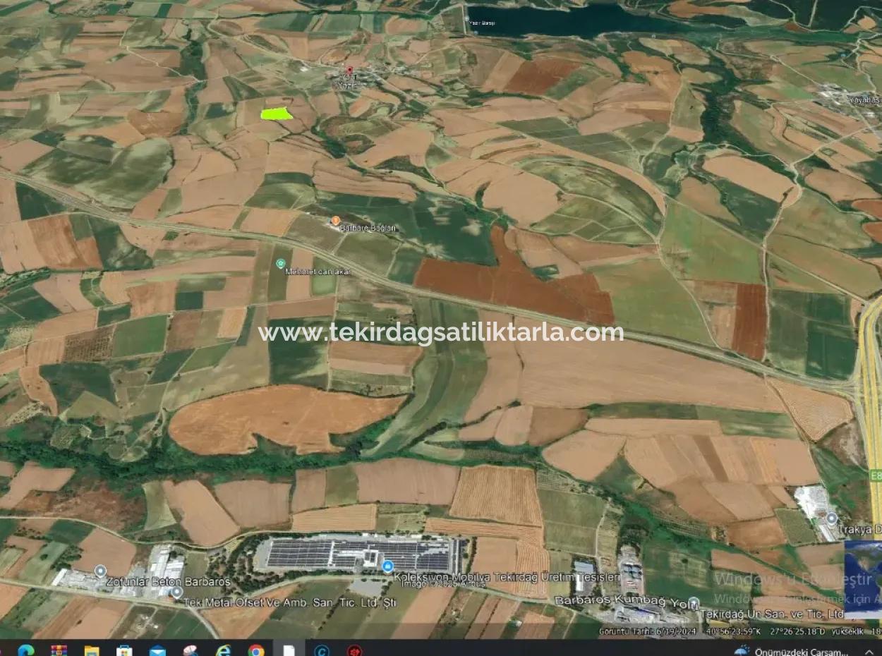 Der Hafen Von Azyaport Liegt In Der Nähe Des Bestehenden Zoning 16.100 Emergency Sale Investment Bargain Coupon-Feldes