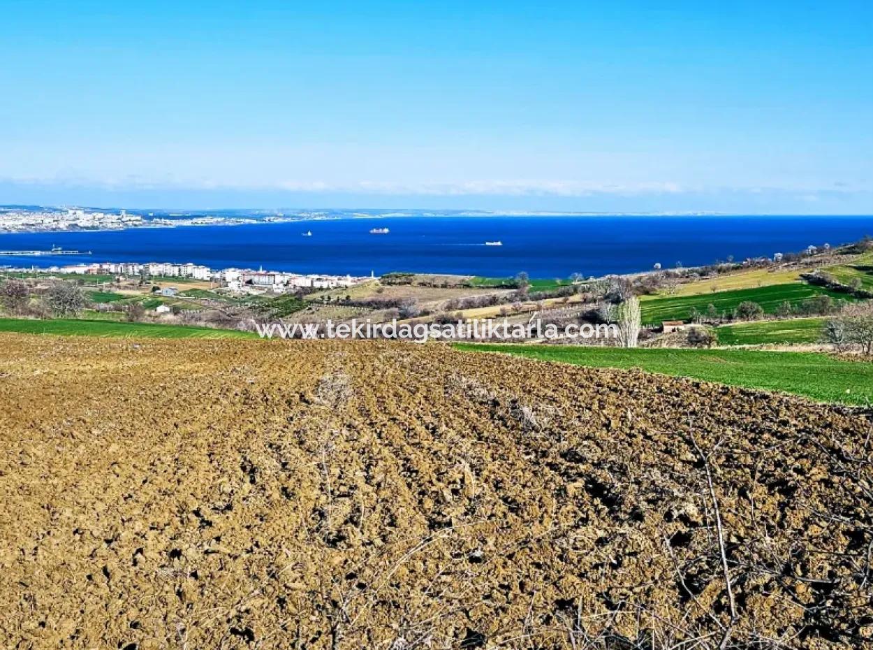 Tekirdag Barbarosta Luxusvilla Projekt Yap. Geben Sie Den Bauunternehmern Eine Wohnung Und Bauen Sie Eine Gewinnbringende Villa Mit Vollem Meerblick
