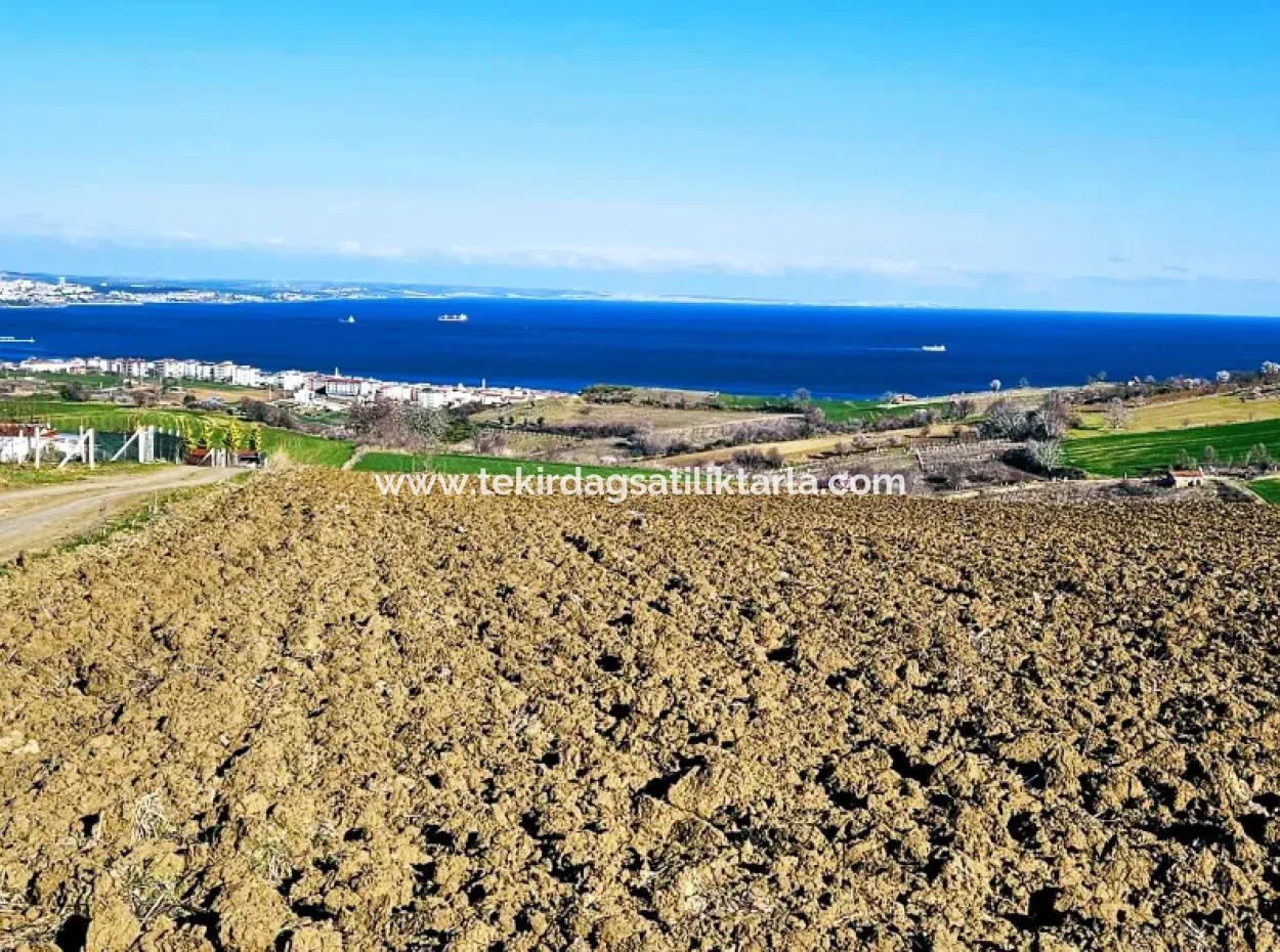 Tekirdag Barbarosta Luxusvilla Projekt Yap. Geben Sie Den Bauunternehmern Eine Wohnung Und Bauen Sie Eine Gewinnbringende Villa Mit Vollem Meerblick