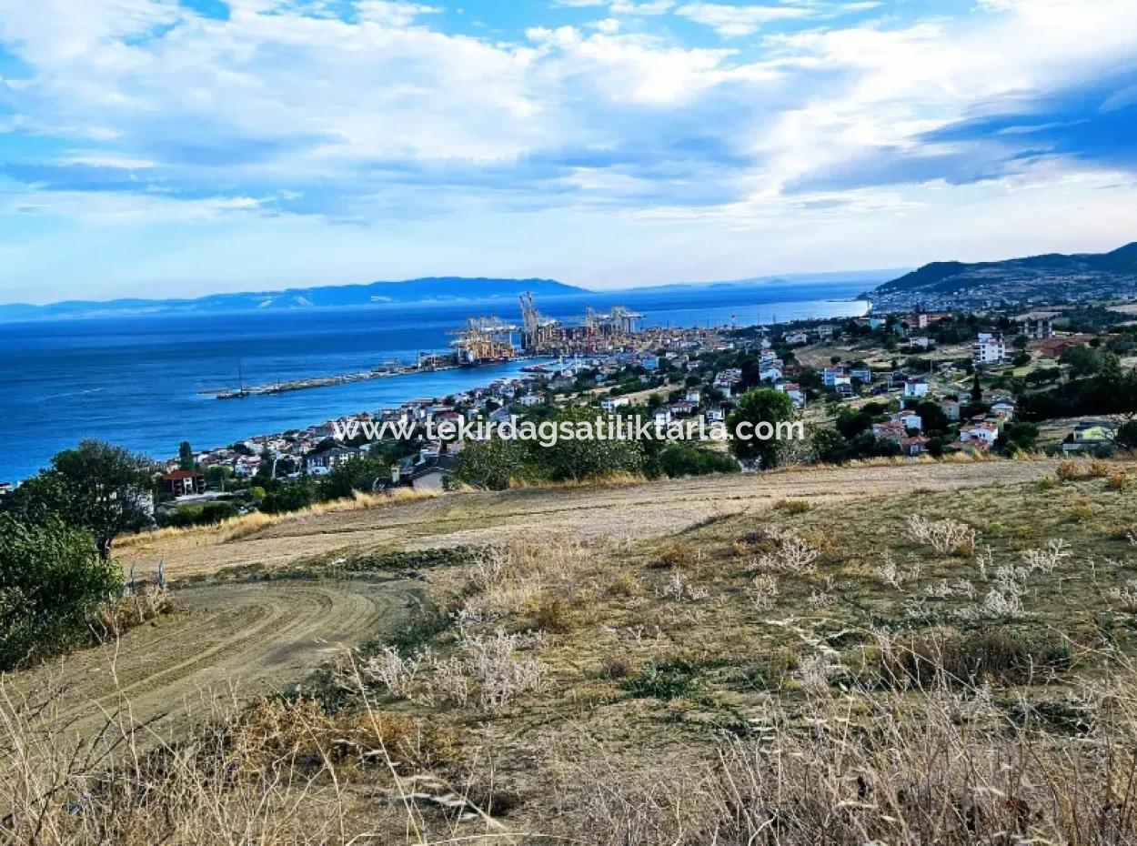 Hohe Gewinngarantie Für Den Investor Für Den Dringenden Verkauf In Der Region, In Der Die Auftragnehmer Im Gegenzug Für Den Boden Vergeben Werden