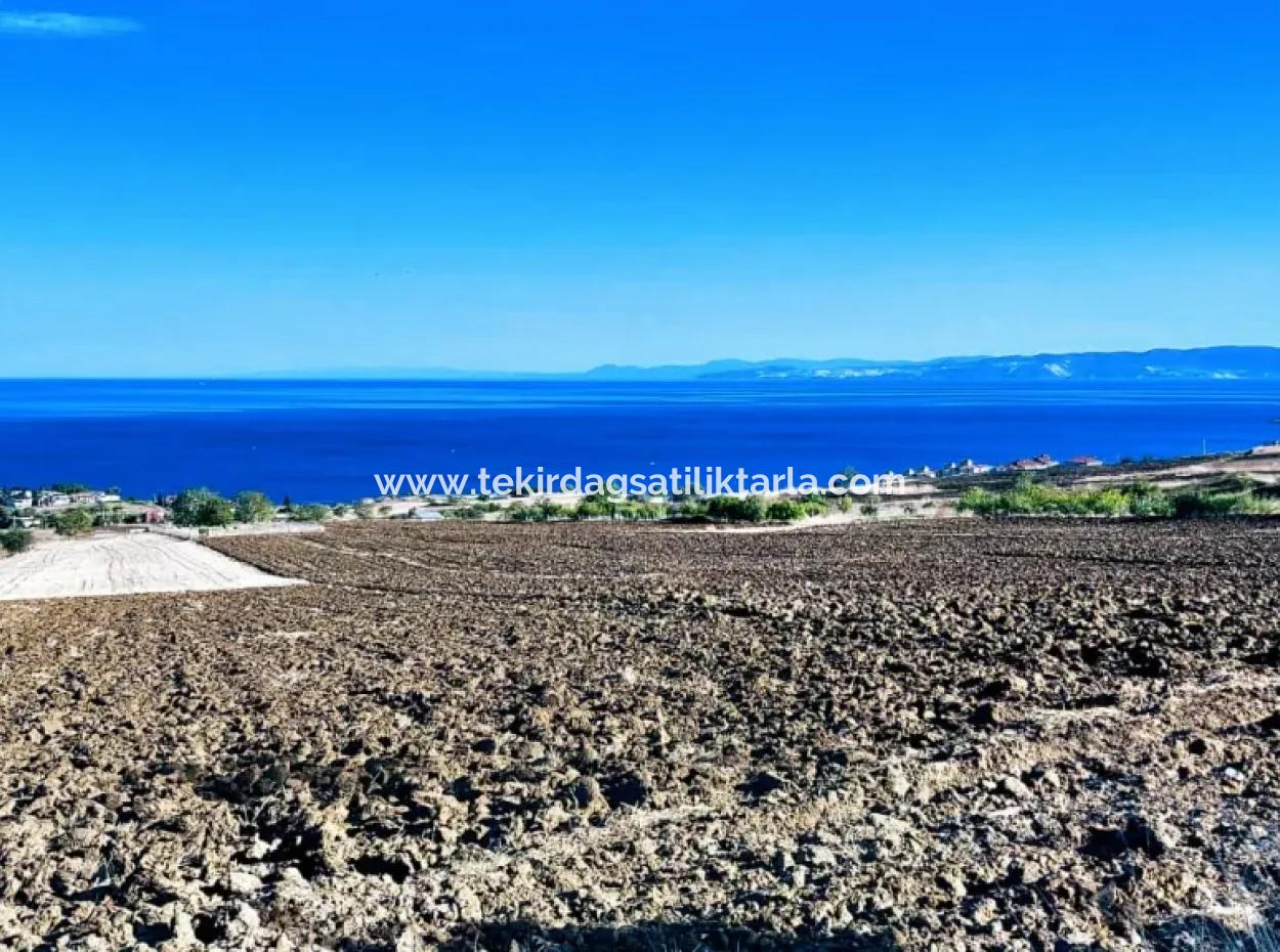 Hohe Gewinngarantie Investieren Sie In 44 Wohnungen Im Massenwohnungsbereich Geben Sie Auftragnehmern Das Doppelte Ihrer Gewinne