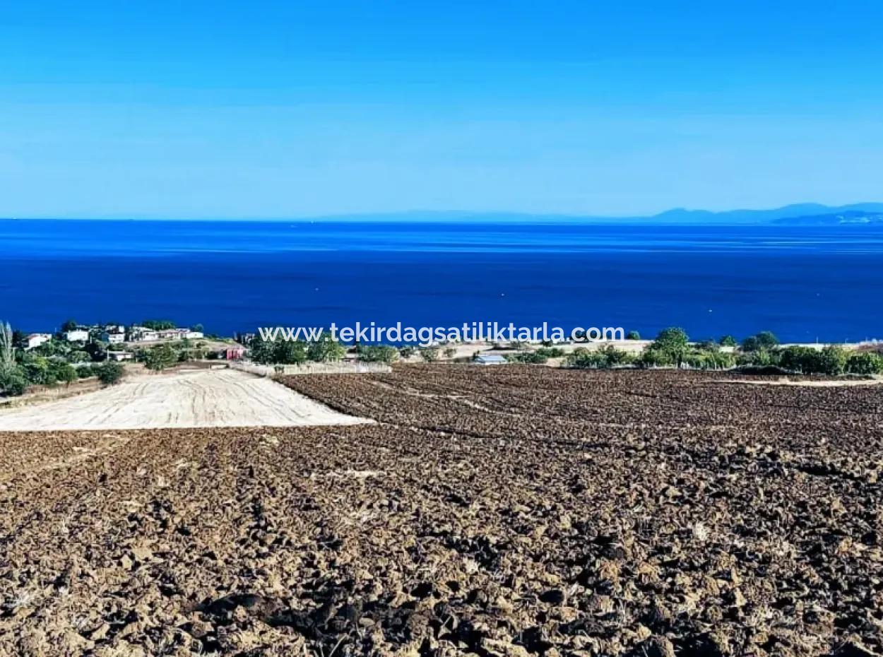 Hohe Gewinngarantie Investieren Sie In 44 Wohnungen Im Massenwohnungsbereich Geben Sie Auftragnehmern Das Doppelte Ihrer Gewinne