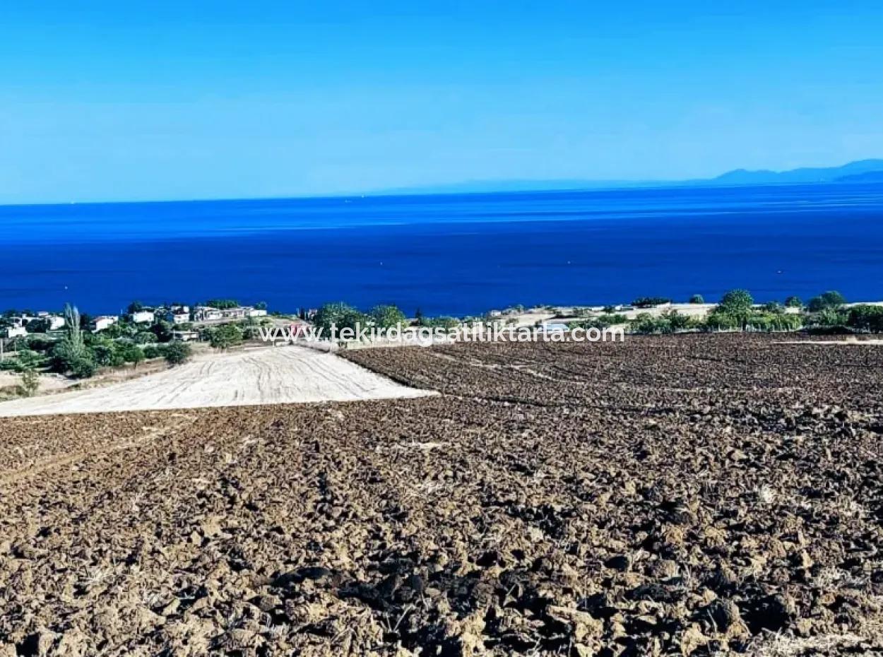Hohe Gewinngarantie Investieren Sie In 44 Wohnungen Im Massenwohnungsbereich Geben Sie Auftragnehmern Das Doppelte Ihrer Gewinne