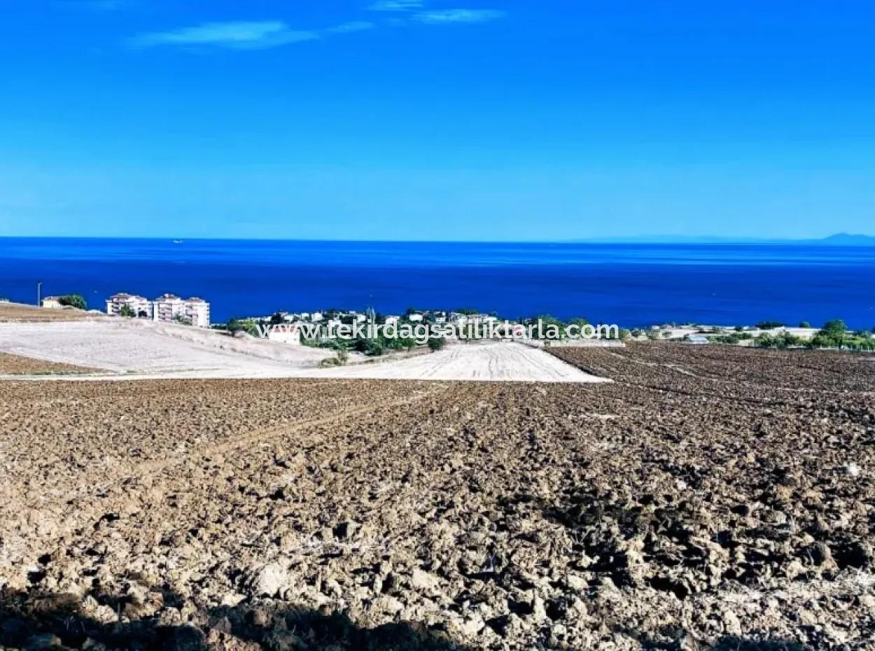 Hohe Gewinngarantie Investieren Sie In 44 Wohnungen Im Massenwohnungsbereich Geben Sie Auftragnehmern Das Doppelte Ihrer Gewinne