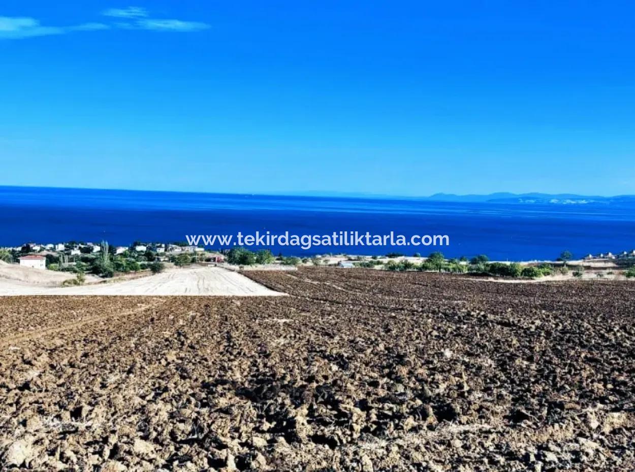 Hohe Gewinngarantie Investieren Sie In 44 Wohnungen Im Massenwohnungsbereich Geben Sie Auftragnehmern Das Doppelte Ihrer Gewinne