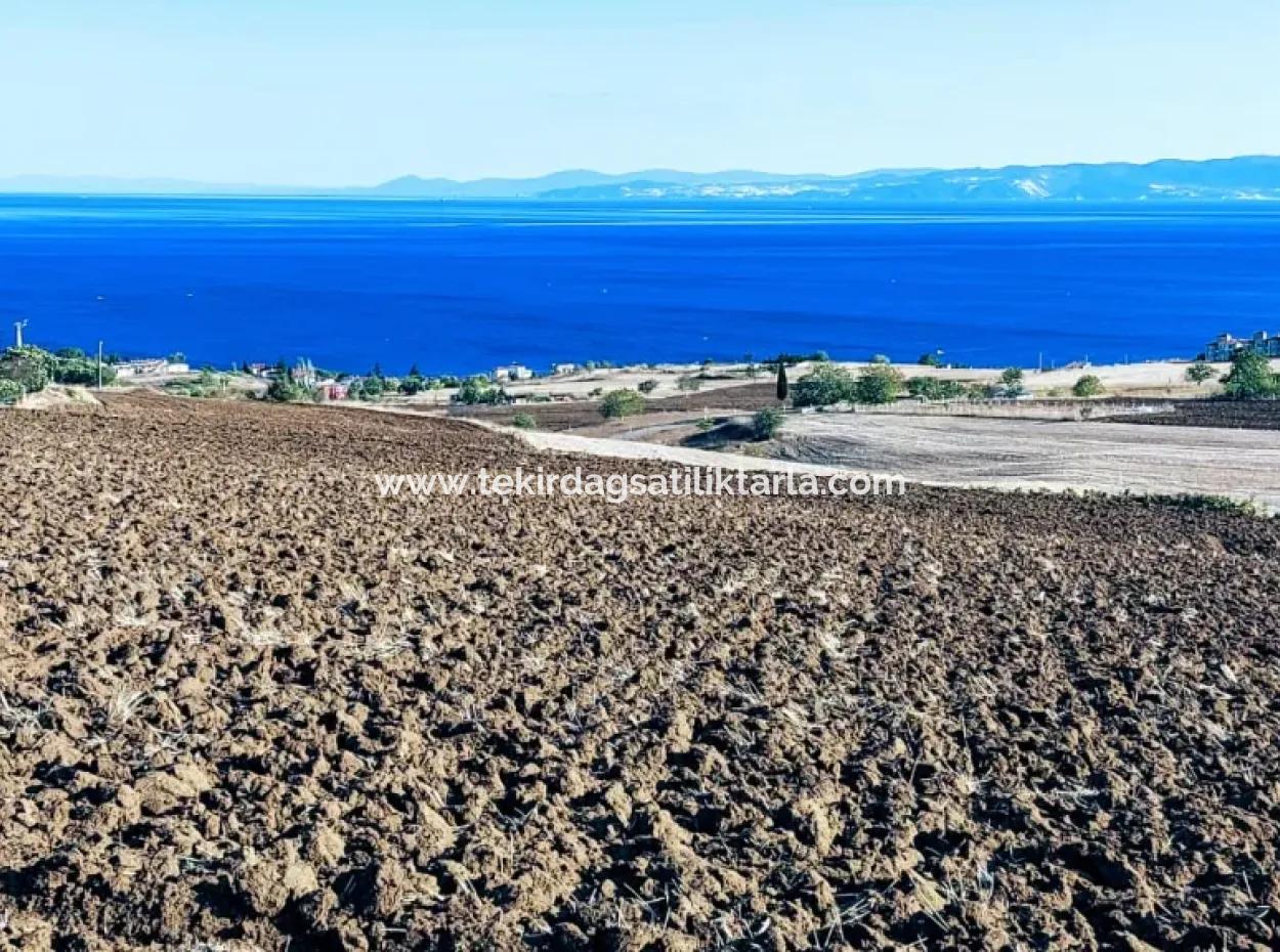 Hohe Gewinngarantie Investieren Sie In 44 Wohnungen Im Massenwohnungsbereich Geben Sie Auftragnehmern Das Doppelte Ihrer Gewinne