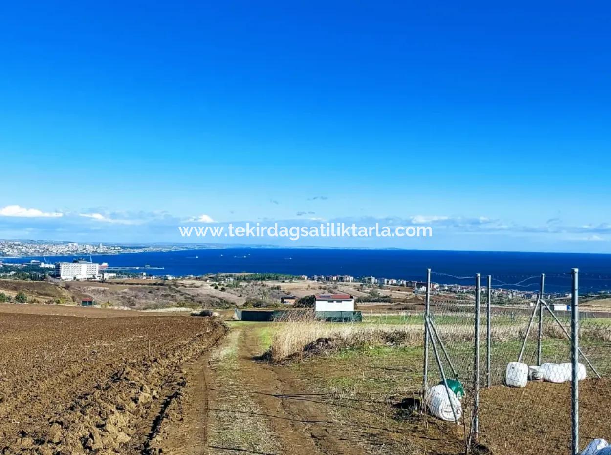 Bewerben Sie Sich Für Ein Luxusvillen-Projekt Zum Dringenden Verkauf, Bieten Sie Eine Hohe Lage In Kaznç, Einen Herrlichen, Vollständig Vollen Blick Auf Das Meer Und Die Natur