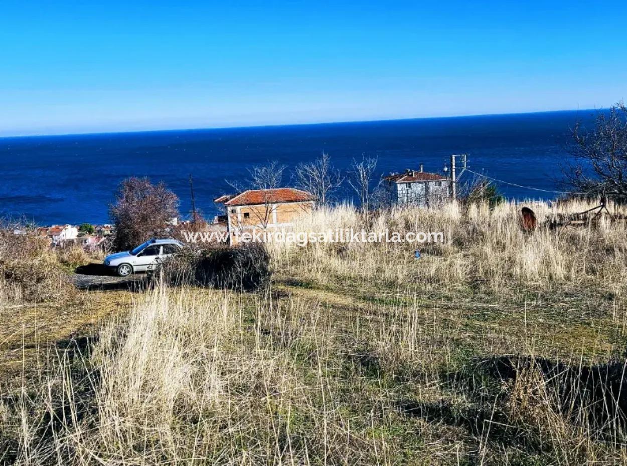 Unumgängliches Gelegenheitsgrundstück Mit Der Möglichkeit, 3 Luxusvillen Mit Vollem Meerblick Zu Bauen