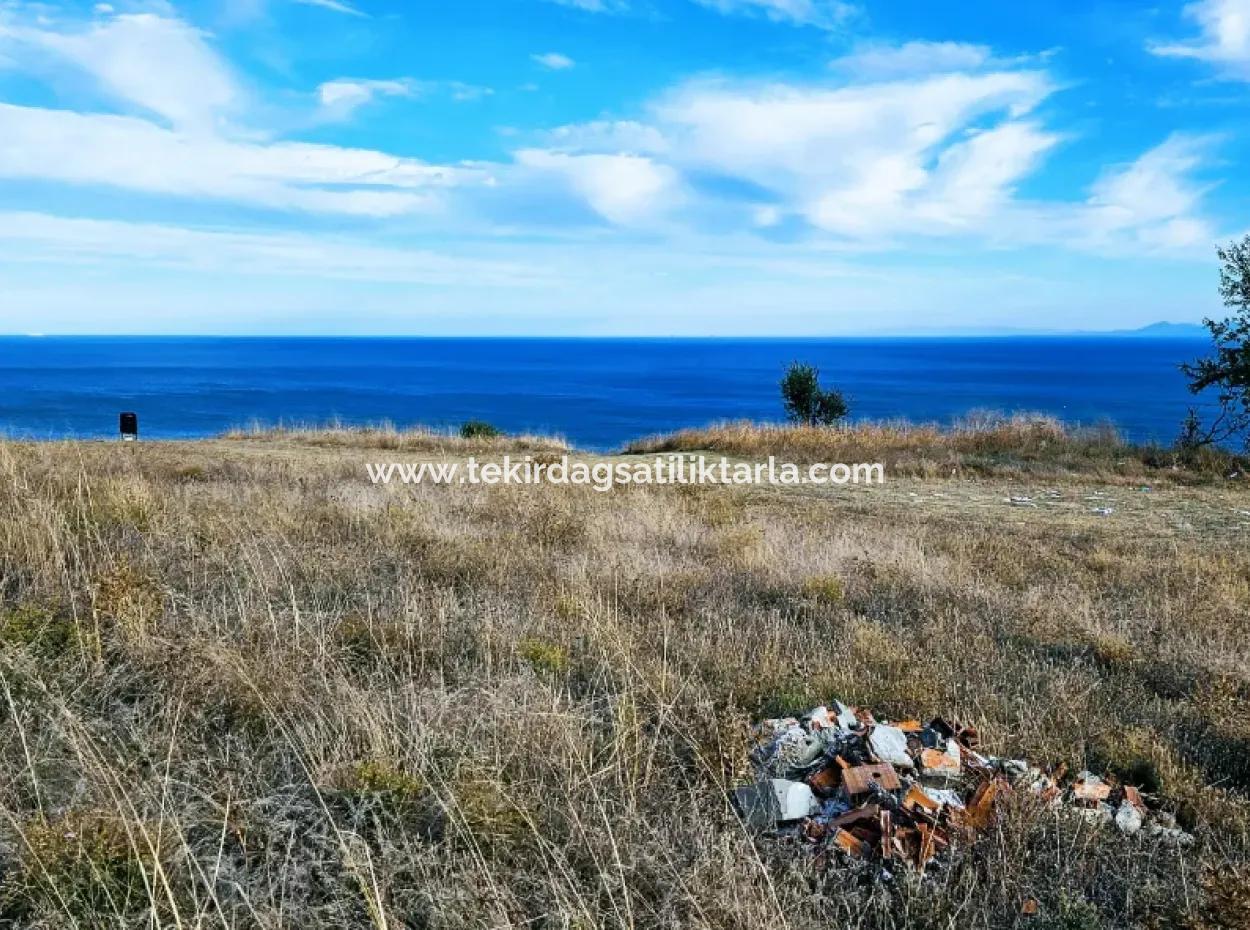 3.300 M2 Nettogrundstück, Das Für Den Bau Eines Genossenschaftsgeländes Mit Vollem Meerblick Zum Dringenden Verkauf In Tekirdag Barbarosta Geeignet Ist