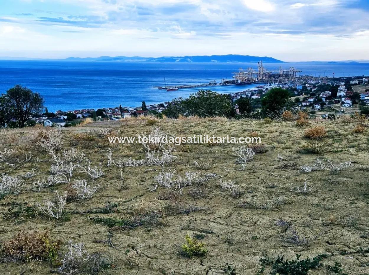 3.300 M2 Nettogrundstück, Das Für Den Bau Eines Genossenschaftsgeländes Mit Vollem Meerblick Zum Dringenden Verkauf In Tekirdag Barbarosta Geeignet Ist