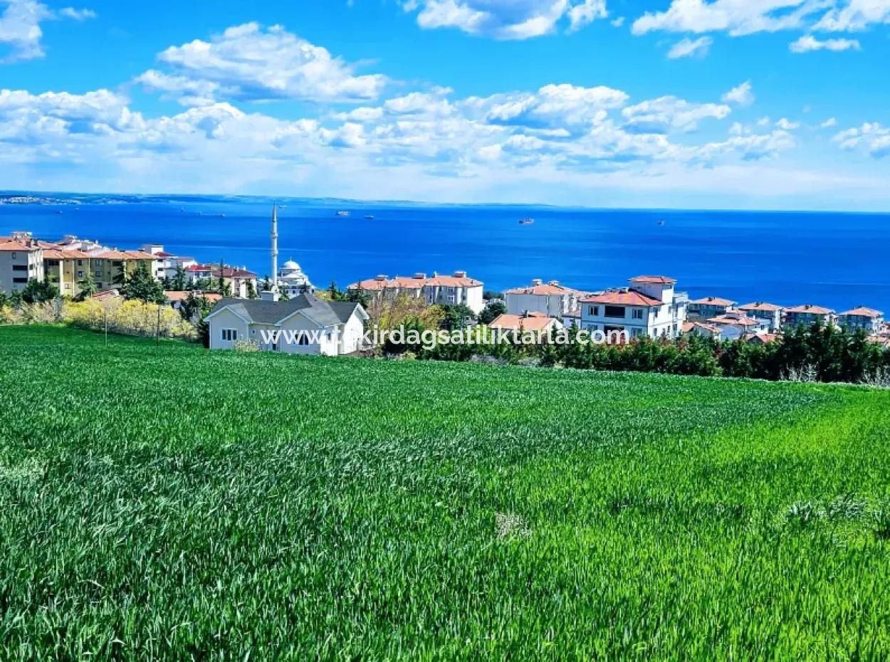 Herrlicher Blick Auf Das Meer Und Die Natur Oder Genossenschaft. Egal, Ob Sie Eine Luxusvilla Bauen Möchten. 40 Wohnungen 6.400 Wohngrundstücke