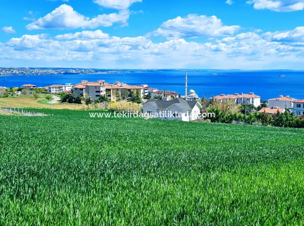 Herrlicher Blick Auf Das Meer Und Die Natur Oder Genossenschaft. Egal, Ob Sie Eine Luxusvilla Bauen Möchten. 40 Wohnungen 6.400 Wohngrundstücke