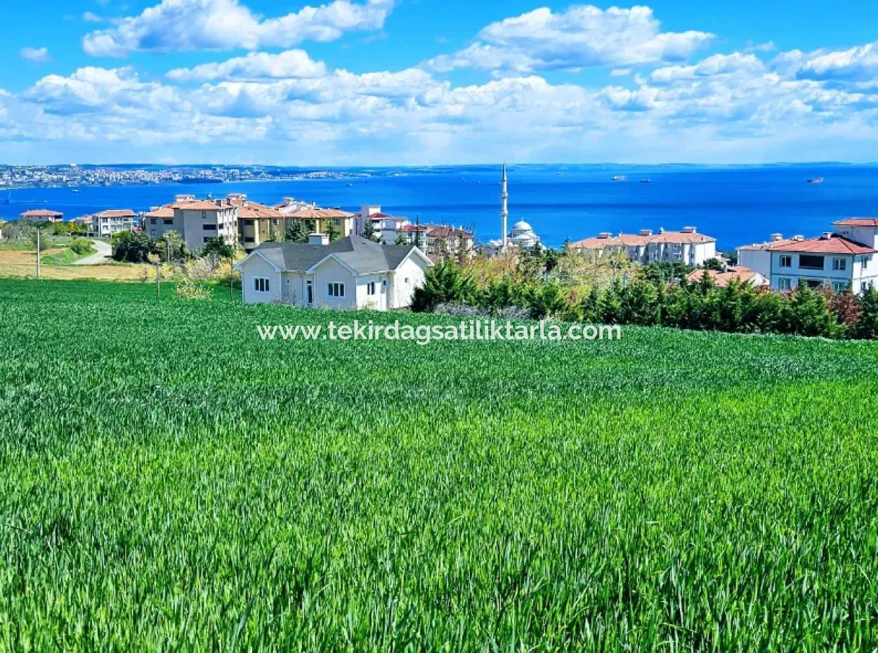 Herrlicher Blick Auf Das Meer Und Die Natur Oder Genossenschaft. Egal, Ob Sie Eine Luxusvilla Bauen Möchten. 40 Wohnungen 6.400 Wohngrundstücke