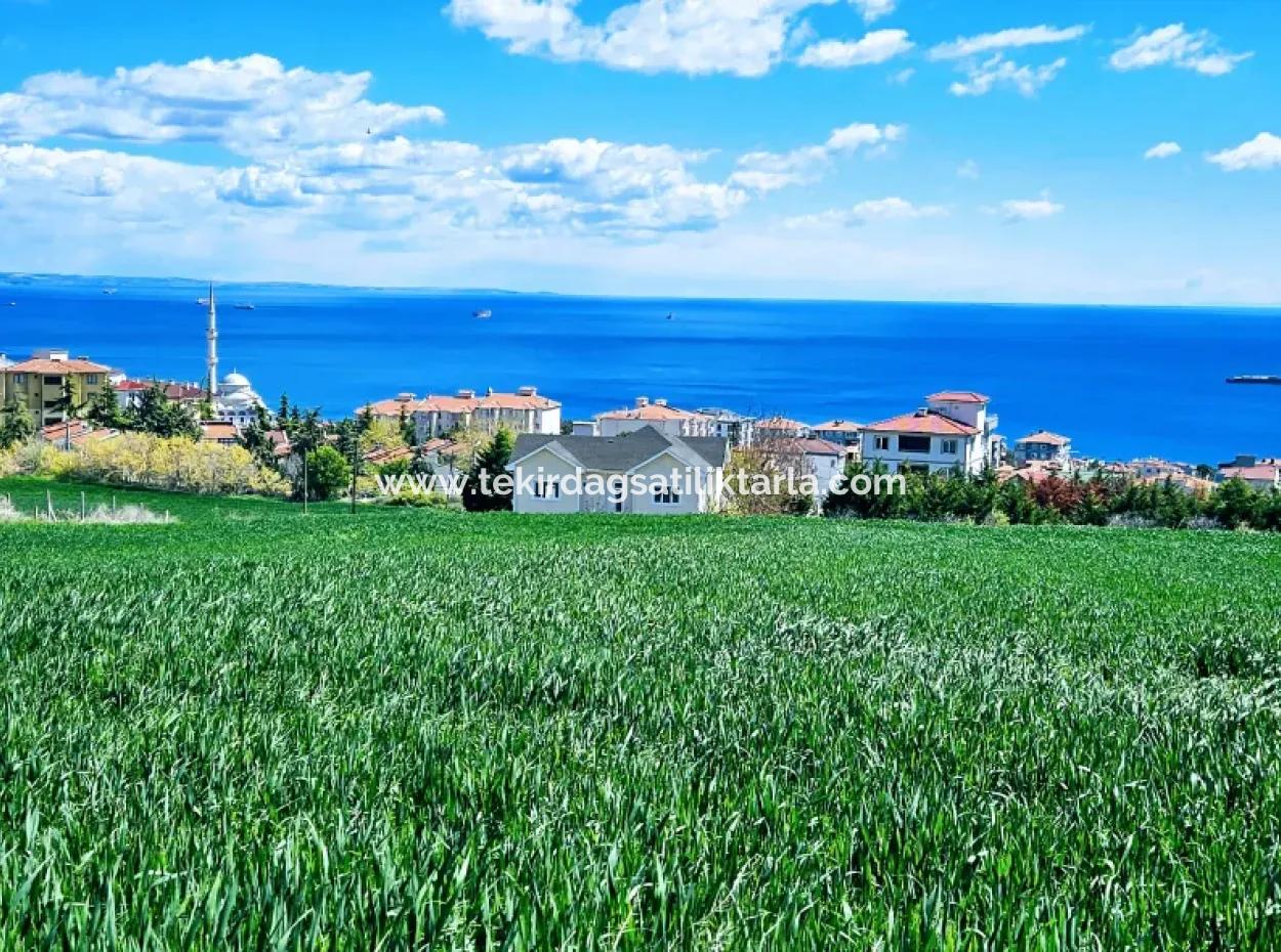 Herrlicher Blick Auf Das Meer Und Die Natur Oder Genossenschaft. Egal, Ob Sie Eine Luxusvilla Bauen Möchten. 40 Wohnungen 6.400 Wohngrundstücke