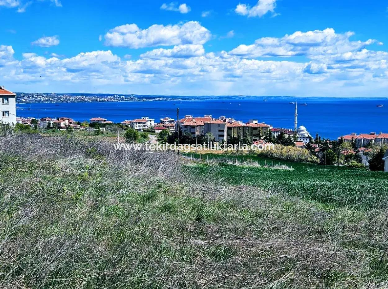 Herrlicher Blick Auf Das Meer Und Die Natur Oder Genossenschaft. Egal, Ob Sie Eine Luxusvilla Bauen Möchten. 40 Wohnungen 6.400 Wohngrundstücke