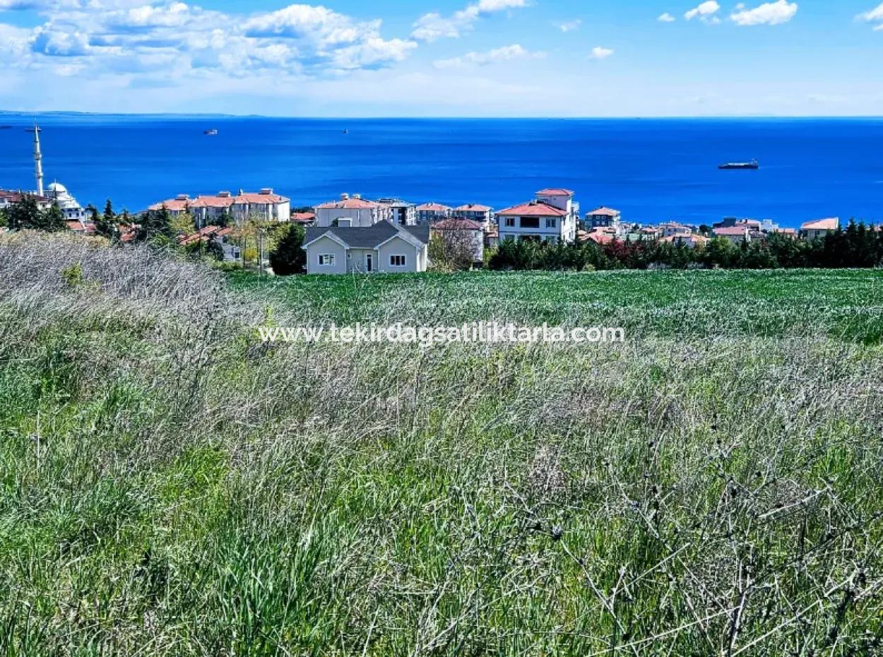 Herrlicher Blick Auf Das Meer Und Die Natur Oder Genossenschaft. Egal, Ob Sie Eine Luxusvilla Bauen Möchten. 40 Wohnungen 6.400 Wohngrundstücke
