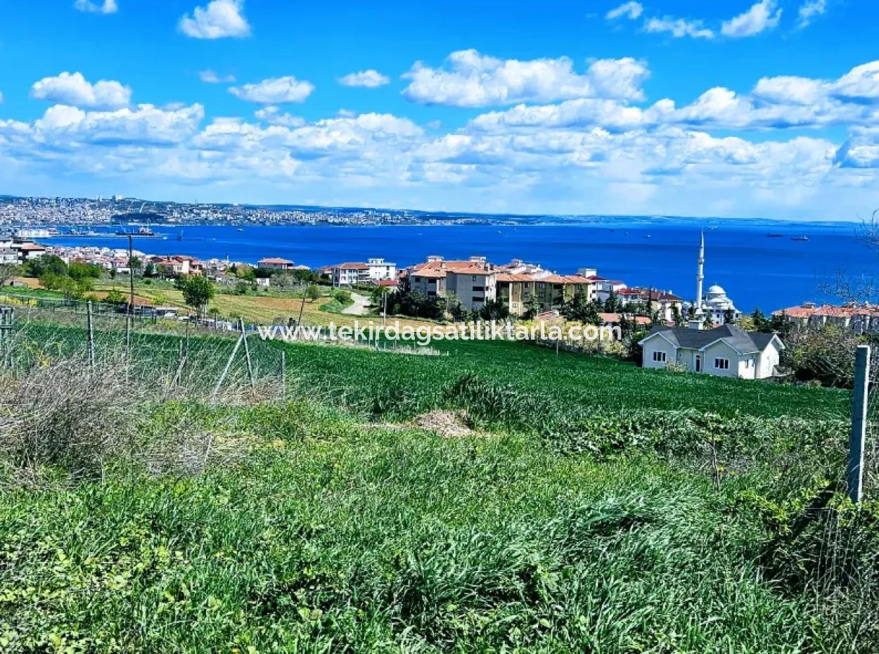 Herrlicher Blick Auf Das Meer Und Die Natur Oder Genossenschaft. Egal, Ob Sie Eine Luxusvilla Bauen Möchten. 40 Wohnungen 6.400 Wohngrundstücke