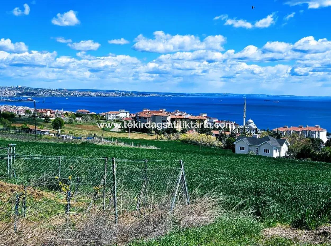 Herrlicher Blick Auf Das Meer Und Die Natur Oder Genossenschaft. Egal, Ob Sie Eine Luxusvilla Bauen Möchten. 40 Wohnungen 6.400 Wohngrundstücke