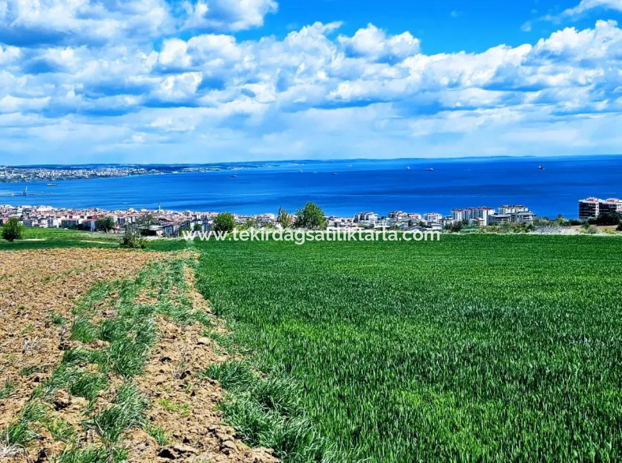 Herrlicher Blick Auf Das Meer Und Die Natur Oder Genossenschaft. Egal, Ob Sie Eine Luxusvilla Bauen Möchten. 40 Wohnungen 6.400 Wohngrundstücke