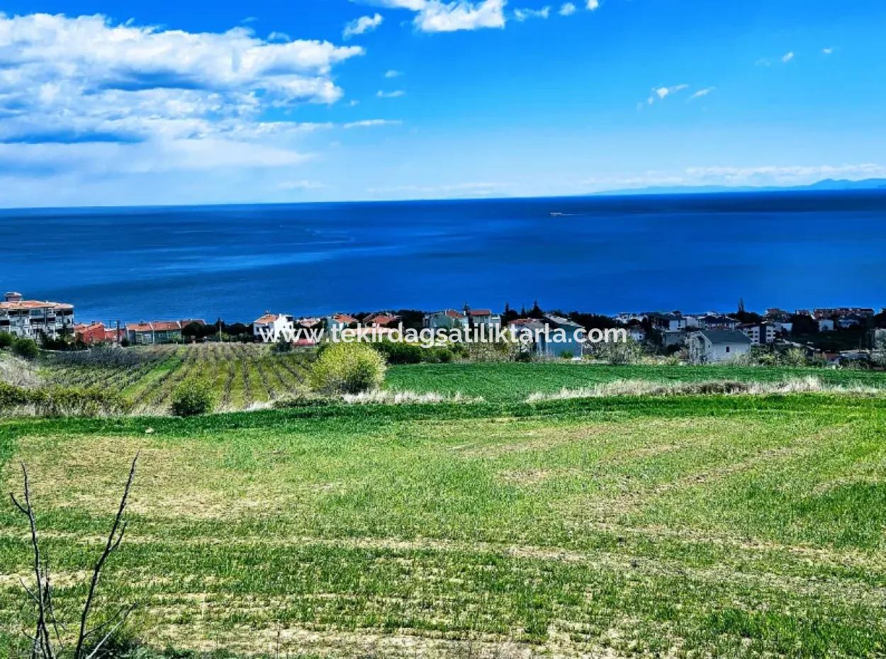 Vollständige Meeres- Und Naturlandschaftsinfrastruktur Bereit Luxus-, 45-Wohnungen-, Genossenschafts- Und Coupon-Grundstücke, Die Für Den Bau Vor Ort Geeignet Sind