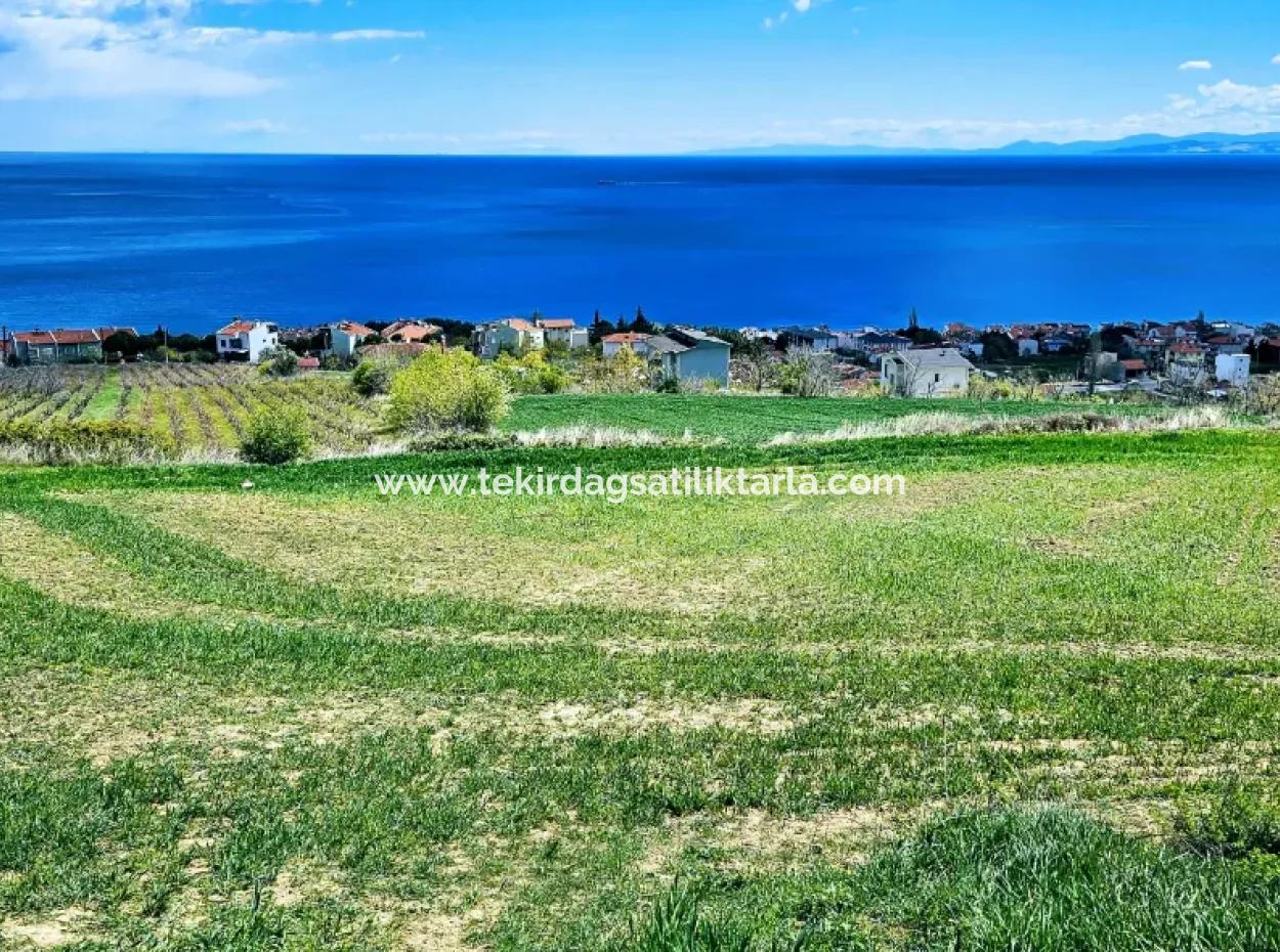 Vollständige Meeres- Und Naturlandschaftsinfrastruktur Bereit Luxus-, 45-Wohnungen-, Genossenschafts- Und Coupon-Grundstücke, Die Für Den Bau Vor Ort Geeignet Sind
